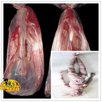 Bar Ghost House Secret Room Scary Prop Terror Break Tequila Ghost Dry Corpse Toy Whole Demagoguery Creepy Zombie