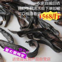 Farmhouse Chinese herbal medicine clear water hanging dry leeches dry goods wild wide body gold thread Leech live embodiment 25 grams