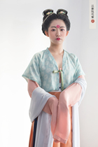 (Xiwei Jinjing Lan)Wu Zhou half-sleeved shirt skirt Jiangnan Taohuajia Hanfu custom 2015 new product
