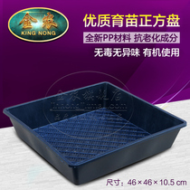 Highened sprouts nursery tray multi-meat sowing nursery box planting plug sprouts cultivation box sprouts sprouts cultivation box hair bean sprouts Basin