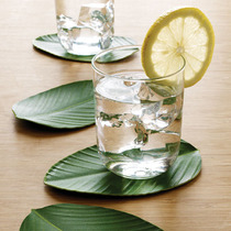 Simple space coaster lotus leaf Coke leaf Coaster 4 boxes can also be used as gifts