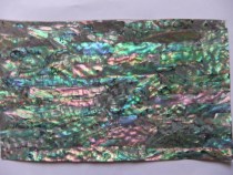 A- grade yellow-green natural abalone soft shell paper home decoration lacquer art musical instrument nail art electronic cigarette box snail