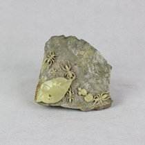 Ants all-natural turquoise stone engraving playful pendulum piece pure handmade artwork group of animals Qi force round through