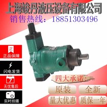 10YCY 25YCY 40YCY 63YCY 80YCY 100YCY 160YCY14-1B Shanghai plunger oil pump