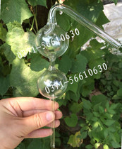 Glass nitrogen balloon Double Ball nitrogen balloon