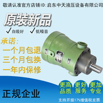 Factory direct high quality and high efficiency low noise 100MCY 100MCY14-1B Qidong quantitative plunger pump
