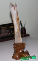 Treated Jade Wood fossil tree fossil silicified wood strange stone ornamental stone boutique ornamental stone Lily Tower