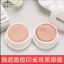 Concealer Foundation Shopper Shoppered scars freckles spotted pocketbook dark circles cos