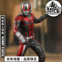 Spot Hottoys HT MMS497 1 6 soldiers with movable man occasionally ants 3 0