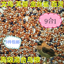 Wen bird hibiscus bird canary bird pearl bird food bird food bird mixed feed 9 in 1 500g