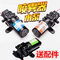 Electric sprayer water pump 12v Volt agricultural diaphragm micro high pressure self-priming car washing pesticide machine high power double pump