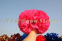 Yaguang Meired --- professional cheerleading team competition test class room playground with flowers and flowers