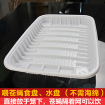 Fly Feeding Tray Water tray Fly Feeding Tool (no sponge required)