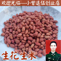 Red peanut 250g new small raw peanut kernel red rice kernel full 38