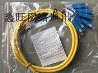 Pigtail bundle SC6 core 8 core 12 core beam pigtail Carrier grade ODF pigtail fc SC household pigtail jumper