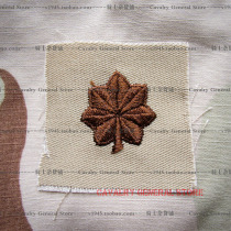 American public version of the land monarch Major Junge leader of the United States Shashcolor M65DCUCVC Jedi