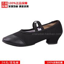 Character dance shoes square dance dance shoes summer new dance shoes womens leather modern dance shoes with soft bottom