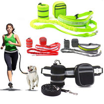 Dog running traction rope Reflective dog walking belt Adjustable elastic explosion-proof punch belt Water bag Mobile phone key bag