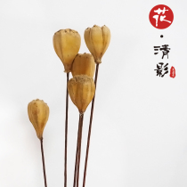 Buddha hand Bodhi fruit air-dried simulation flower Yunnan dried fruit forest flower arrangement living room TV entrance decoration