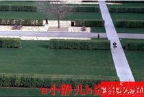 peter walker garden landscape dwg drawings