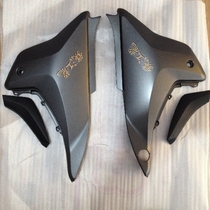 Motorcycle accessories for Jianglong QJ150-19A C left and right guard side cover decorative plate