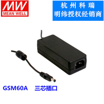 GSM60A12 A24 A48 A18 A15 A09 A07 A05-P1J 60W Meanwell power medical type