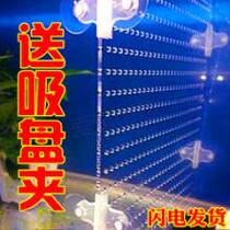 Fish tank clip isolation clip Aquarium glass partition partition Arhat fish acrylic suction cup clip fish tank partition