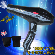 Human Jie High power electric hair dryer RCE-1800W821 hair salon haircut shop hot and cold wind-dryer
