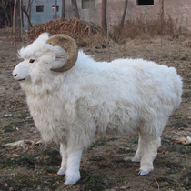Sheep Year Mascot Large Emulation Sheep Genuine Leather High Simulation Animal Sanyang Kaitai Real Sheep Leather Real Sheep Corner