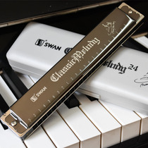  Swan 24 holes beginner adult harmonica polyphonic C tune Advanced professional performance Children students with lettering