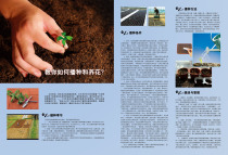 210 home poster board spray painting sticker material 4937 teach you sowing and flower raising knowledge bulletin board