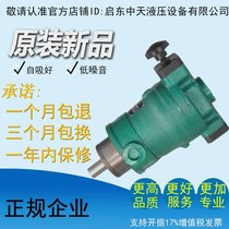 10 16 25 32 40 63 80 100 160 250 400SCY14-1D Qidong axial piston oil pump