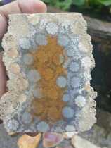 Pu Jade Workshop Fine Natural Coral Jade Natural Crystal Semi-precious Stone Chalcedony Small Colored Flower Pattern Raw Stone