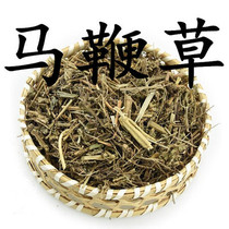 Verbena purple topped Longa grass sprouts wild Nepeta Arboria Phoenix neck grass phalantail 500g G G