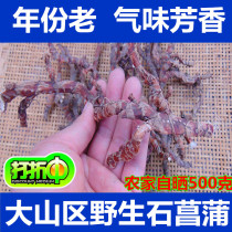 (Wild stone calamus)Dabie Mountain District Shichangbu High-quality mountain calamus Shichangpu dried Chinese Herbal medicine 500g
