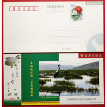 Postcard 1 Qinghai Province Protection Mother River Action Cross-century Green Hope Engineering postage postcards