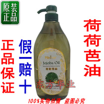 Little teacher Hojoba oil massage oil essential oil base oil   Holhoba   1000ML