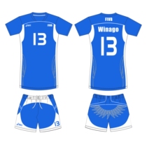 Custom group buy mens volleyball suit suit Short-sleeved quick-drying game suit Volleyball team uniform Womens training suit printing