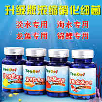 Teedel upgraded version of concentrated nitrifying bacteria longfish freshwater seawater koi crystal shrimp capsule-like nitrifying bacteria