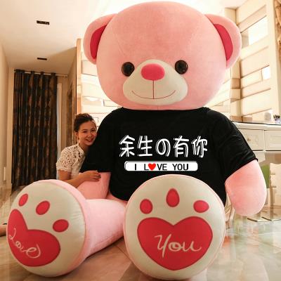 Gift Big Bear Teddy Bear Cat Plush toy Doll Ragdoll Cuddle bear Large sleeping pillow doll girl