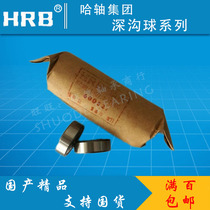  Harbin bearing 6200 6201 6202 6203 6204 6205 6206 Rubber cover Iron cover seal