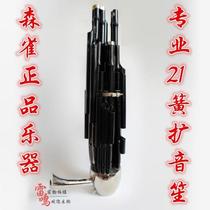 Thunder instrument 21 Reed professional performance plus 3-key sound soloist accompaniment All Black twenty-one spring universal Sheng