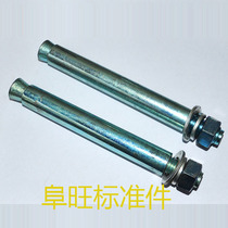 Galvanized expansion screw Iron expansion bolt extended extra long expansion M20*150 200 250 300 400