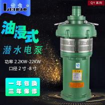 Lei Bao QY oil immersed submersible pump farmland irrigation pump well fountain pump 2 inch 3 inch 4 inch 6 inch 8 inch 380V