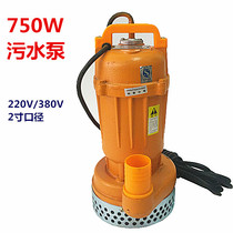 750W0 75KW2 inch single phase sewage pump household agricultural irrigation and drainage submersible sewage pump 220V380V