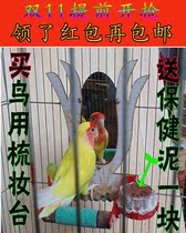 Parrot toy bird mirror toy swing toy fruit fork health mud fixed Cup grinding mouth grinding foot
