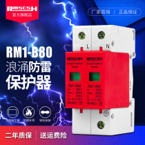 Household lightning protector 2p power surge protector 220V arrester 40-80ka lightning surge switch module