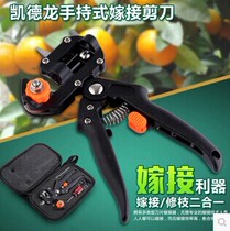 Gardening scissors garden tools two-color iron handle branch shears Fruit tree pruning shears factory direct sales discount grafting