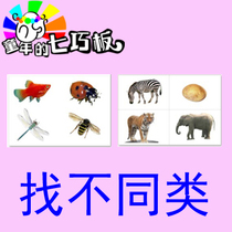 Find different categories of autism Autism ABA language training teaching aids cards childhood Tangram