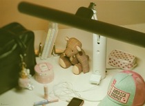 Japanese relative Yamada Lighting Z-LIGHT Z-3500W Z-10N Eye Light :)